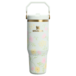 Stanley Tumblers