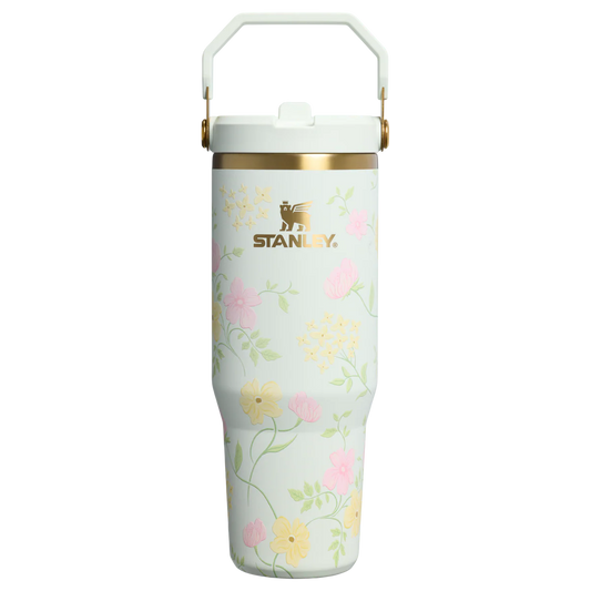 Stanley Tumblers